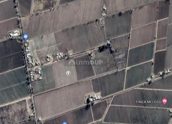 Finca en Venta en San Carlos, Mendoza