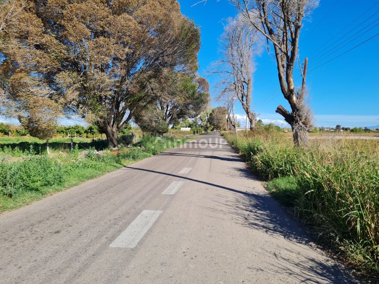 Finca en Venta en San Carlos, Mendoza