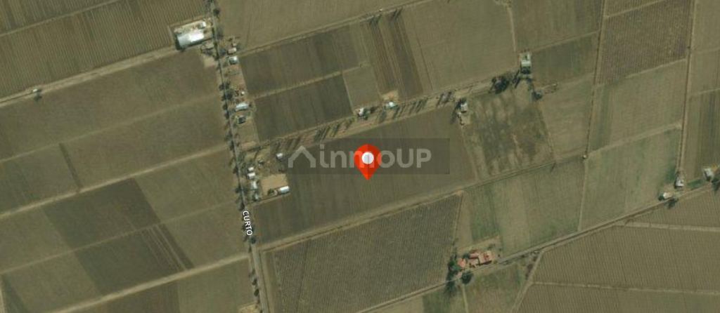 Finca en Venta en San Carlos, Mendoza