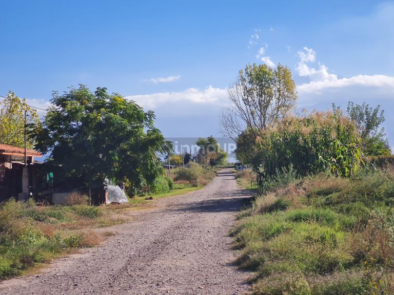Finca en Venta en San Carlos, Mendoza