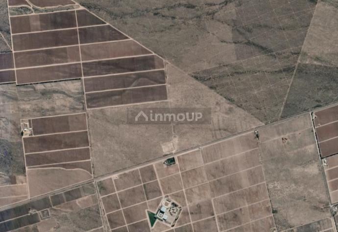 Finca en Venta en San Carlos, Mendoza