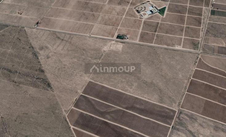 Finca en Venta en San Carlos, Mendoza