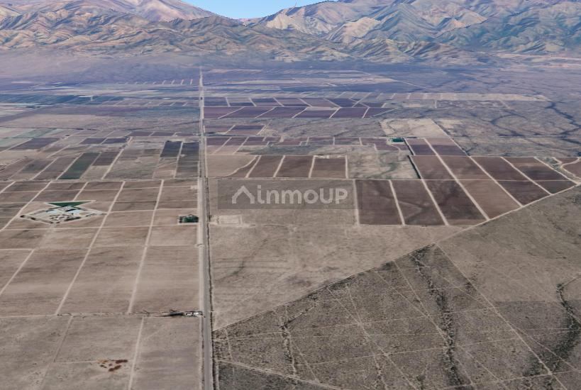 Finca en Venta en San Carlos, Mendoza