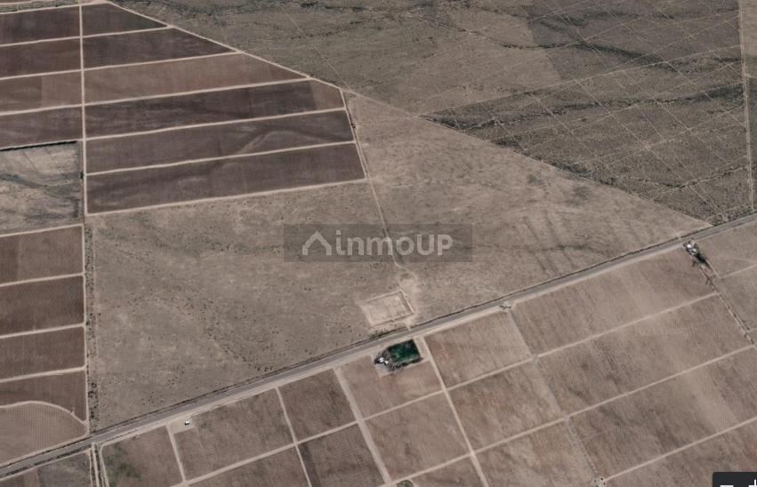 Finca en Venta en San Carlos, Mendoza