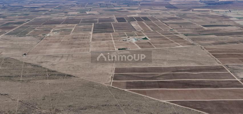 Finca en Venta en San Carlos, Mendoza