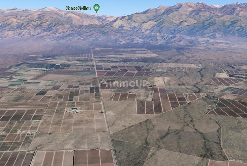 Finca en Venta en San Carlos, Mendoza