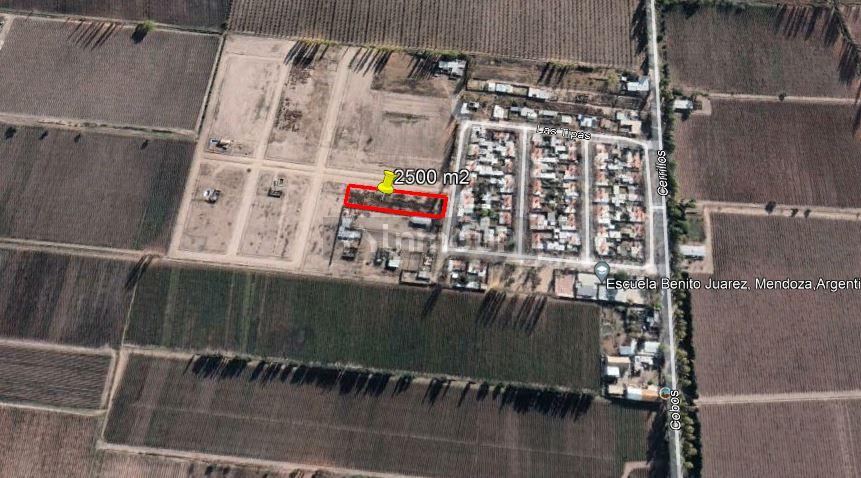 Terreno en Venta en Lujan de Cuyo, Mendoza