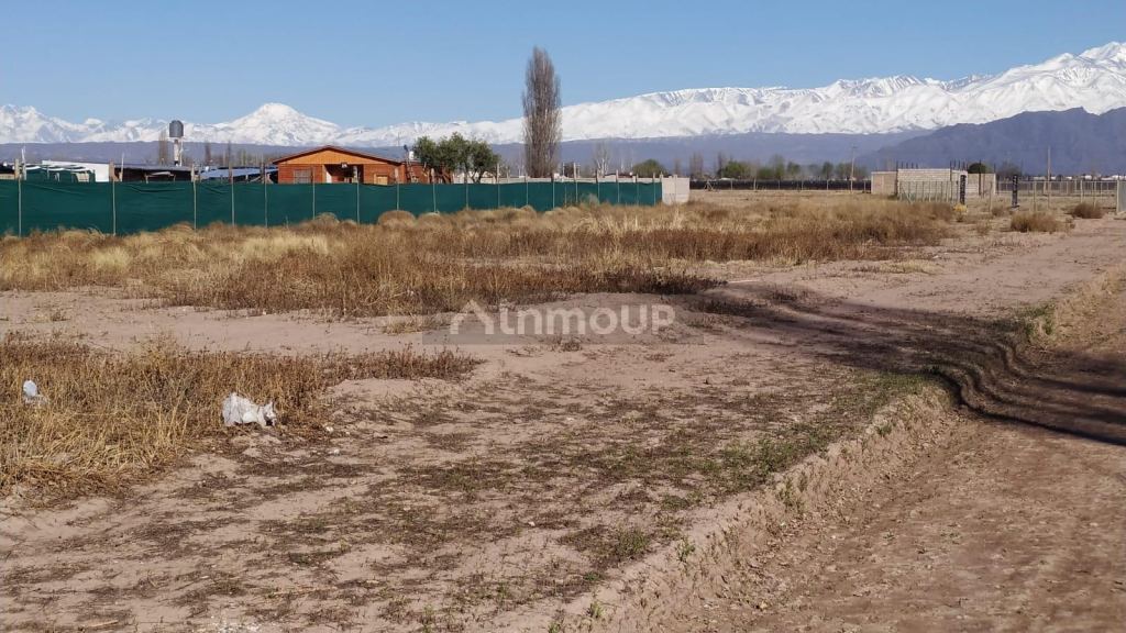 Terreno en Venta en Lujan de Cuyo, Mendoza