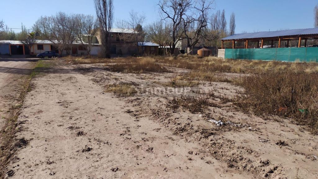 Terreno en Venta en Lujan de Cuyo, Mendoza