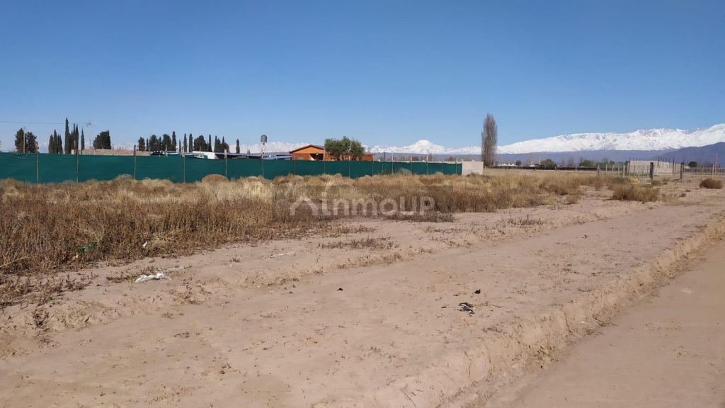 Terreno en Venta en Lujan de Cuyo, Mendoza