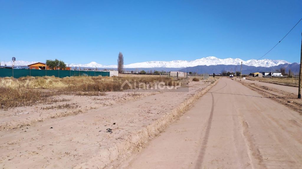 Terreno en Venta en Lujan de Cuyo, Mendoza