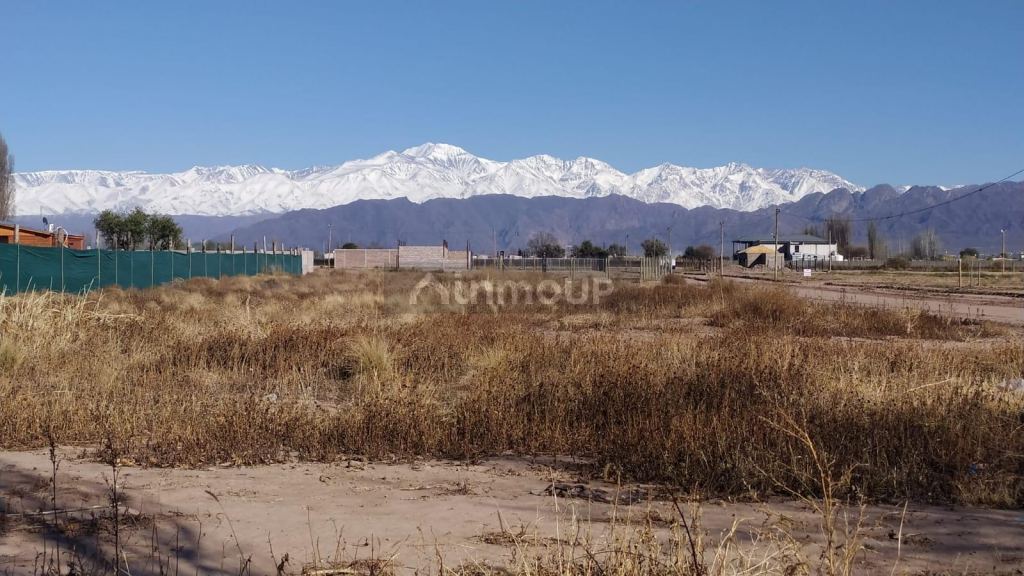 Terreno en Venta en Lujan de Cuyo, Mendoza