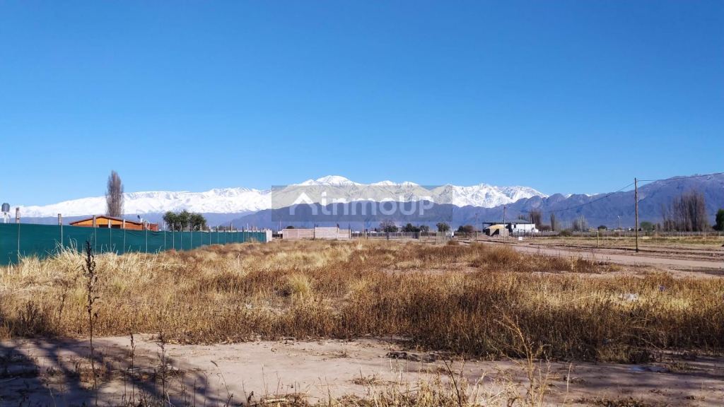 Terreno en Venta en Lujan de Cuyo, Mendoza