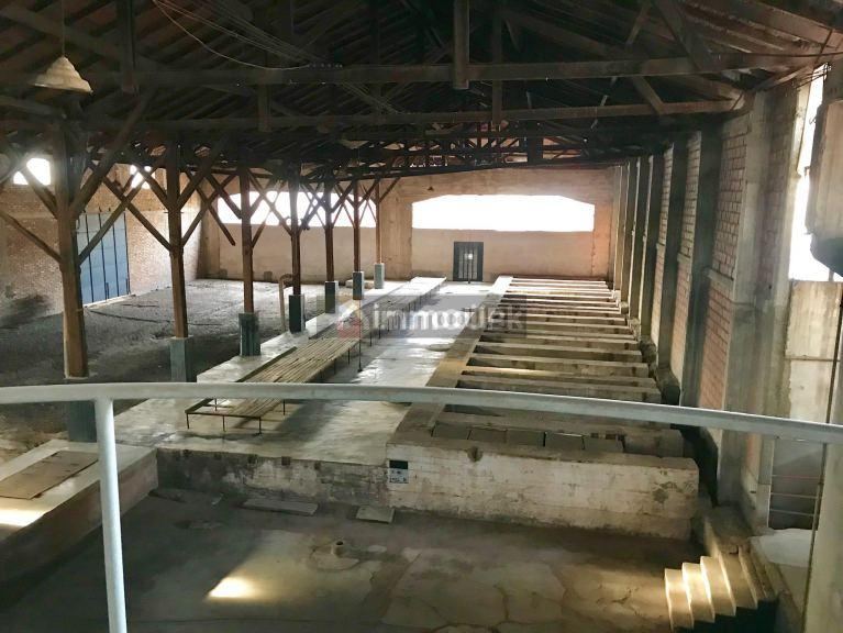 Galpon en Venta en Maipu, Mendoza