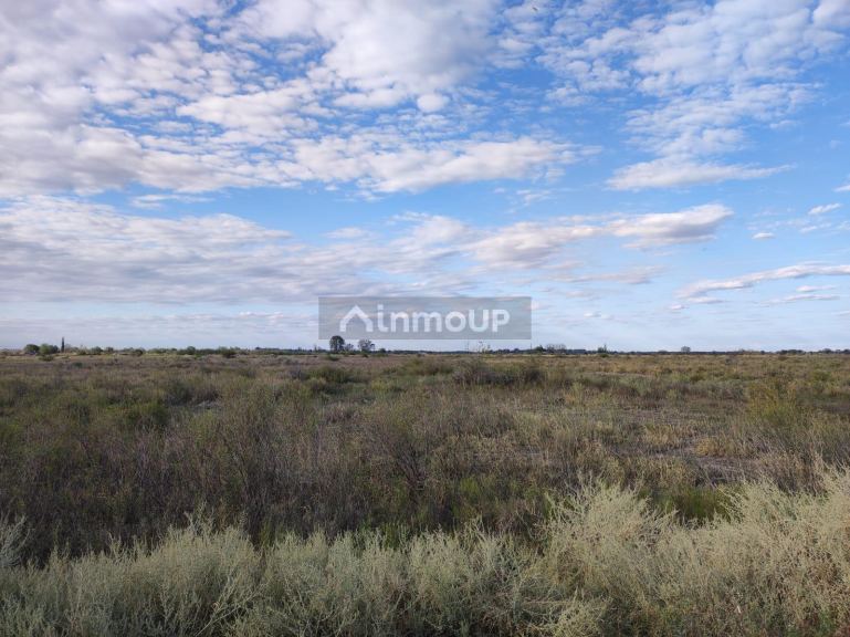 Finca en Venta en San Martin, Mendoza