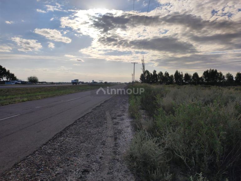 Finca en Venta en San Martin, Mendoza