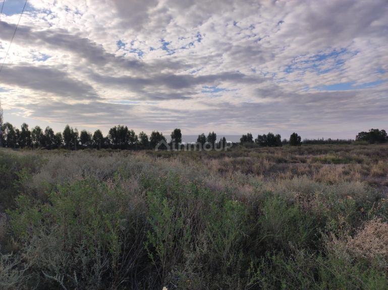 Finca en Venta en San Martin, Mendoza