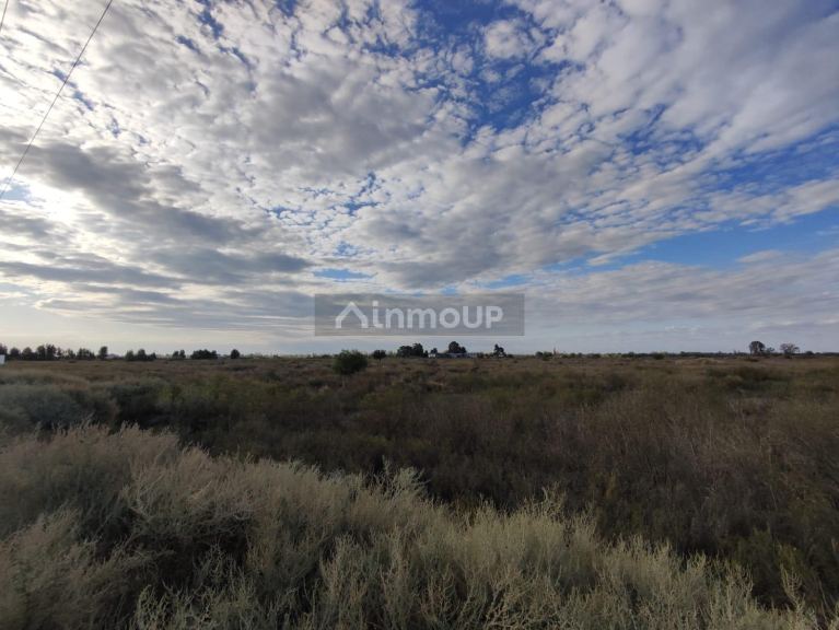 Finca en Venta en San Martin, Mendoza
