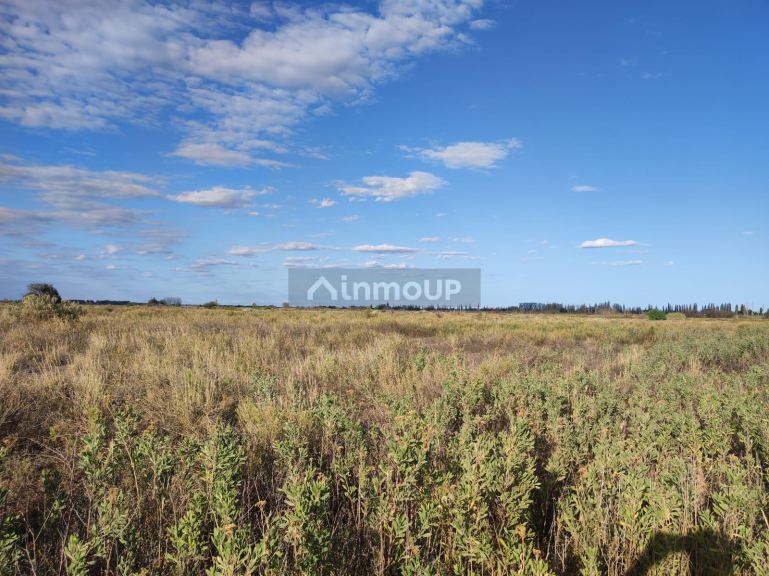 Finca en Venta en San Martin, Mendoza