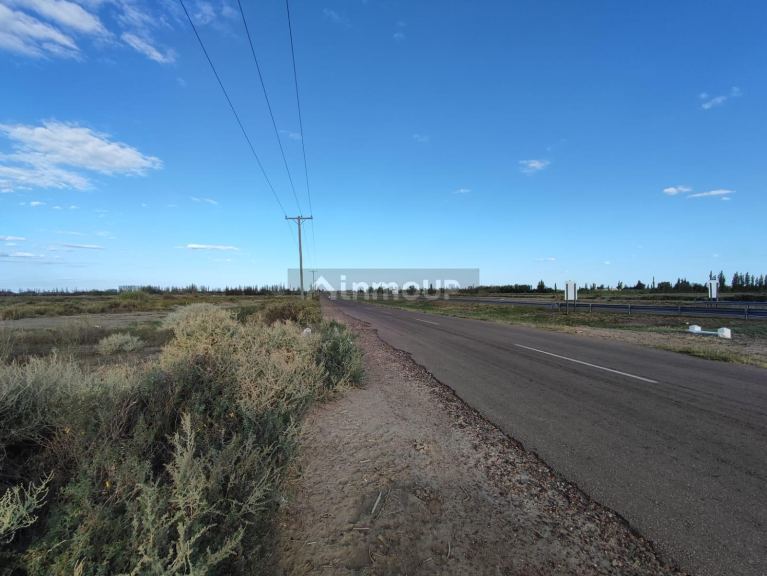 Finca en Venta en San Martin, Mendoza