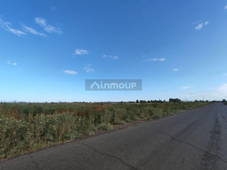 Finca en Venta en San Martin, Mendoza