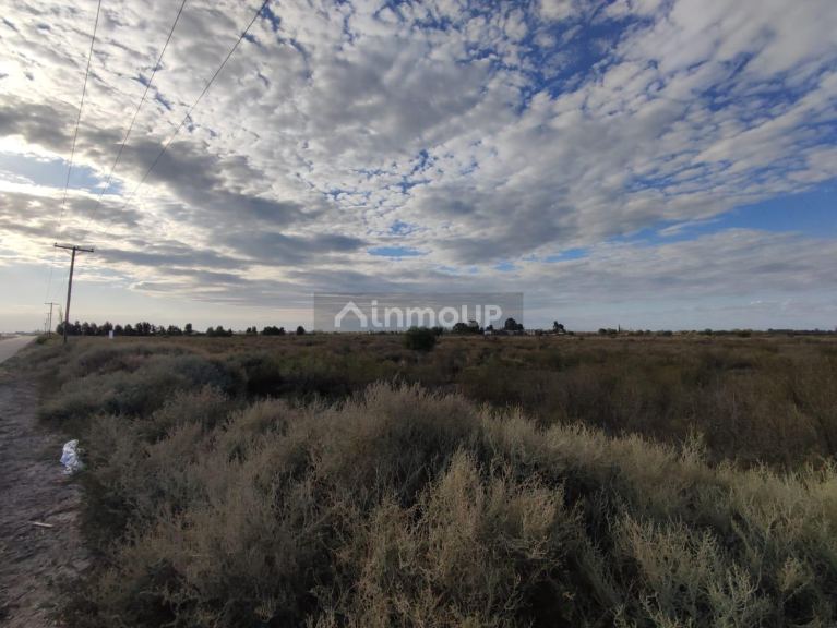 Finca en Venta en San Martin, Mendoza