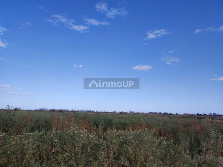 Finca en Venta en San Martin, Mendoza