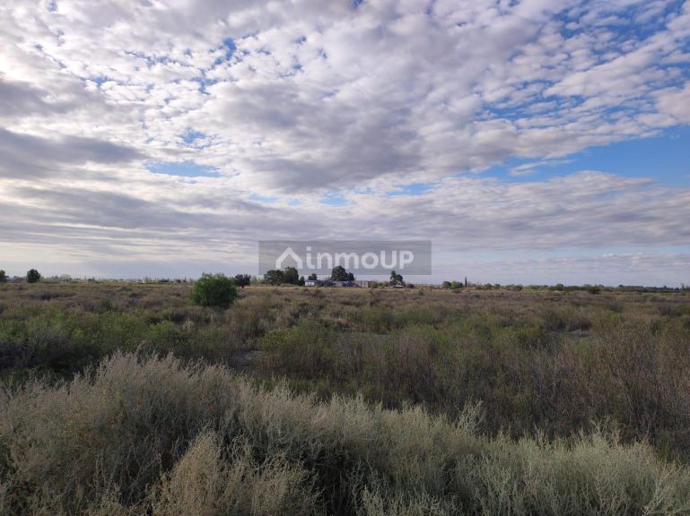 Finca en Venta en San Martin, Mendoza