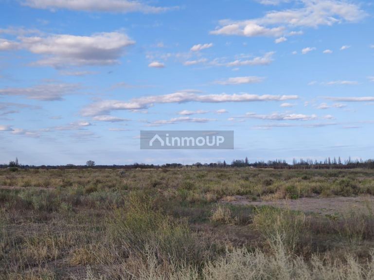 Finca en Venta en San Martin, Mendoza