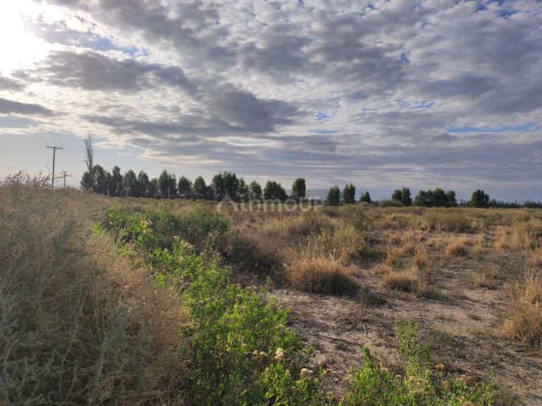 Finca en Venta en San Martin, Mendoza