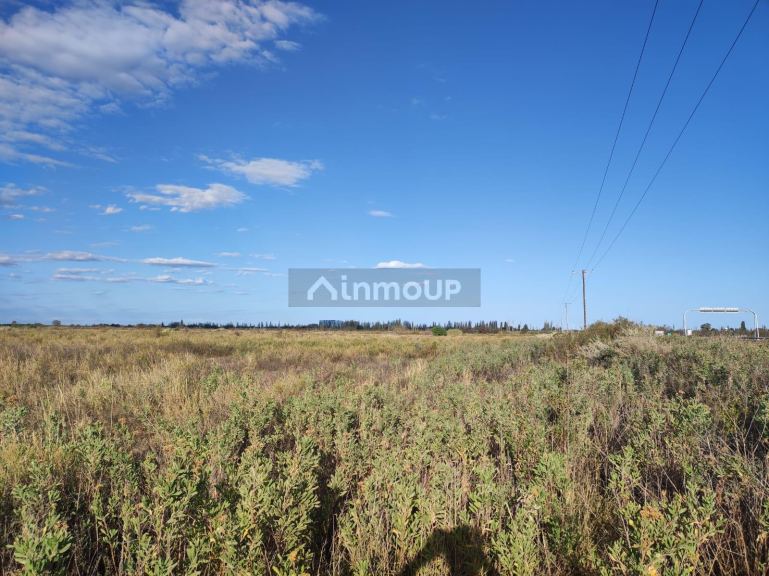Finca en Venta en San Martin, Mendoza