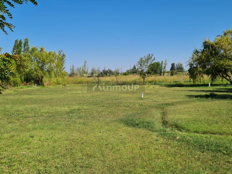Casa en Venta en Rivadavia, Mendoza
