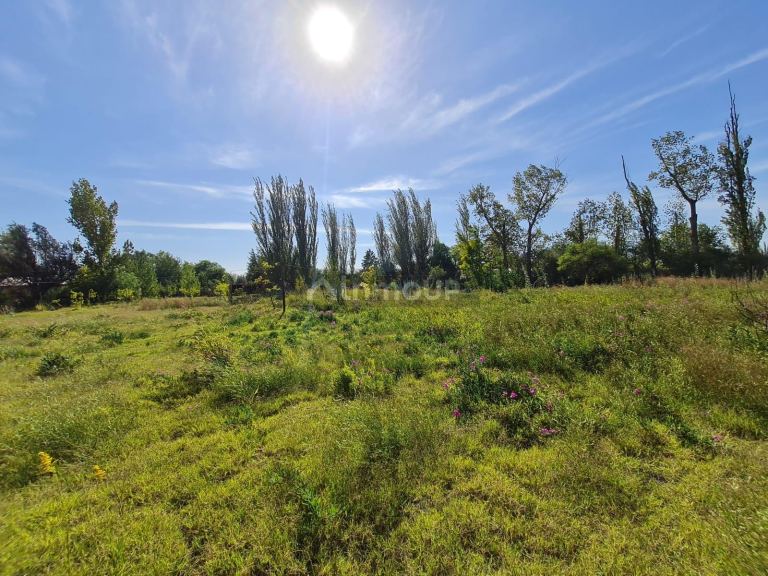 Casa en Venta en Rivadavia, Mendoza