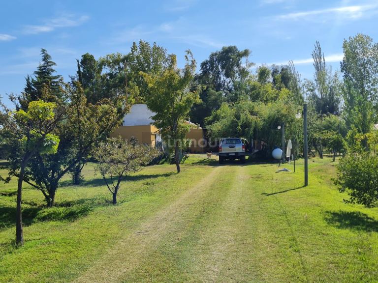 Casa en Venta en Rivadavia, Mendoza
