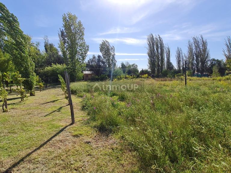 Casa en Venta en Rivadavia, Mendoza