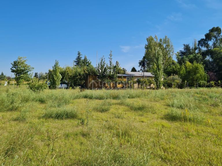 Casa en Venta en Rivadavia, Mendoza