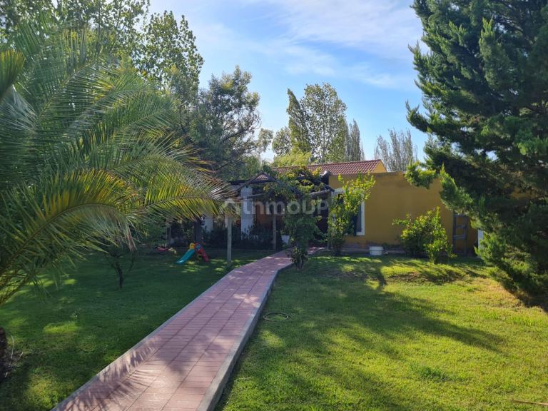 Casa en Venta en Rivadavia, Mendoza