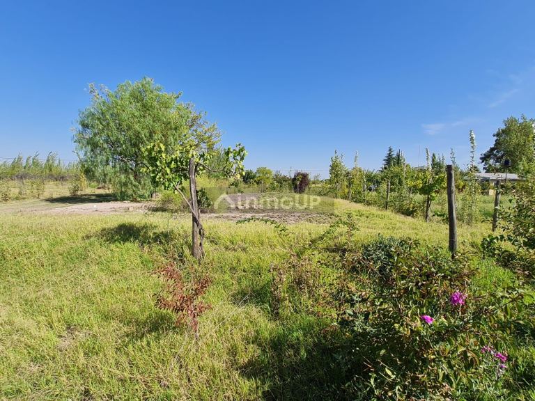 Casa en Venta en Rivadavia, Mendoza