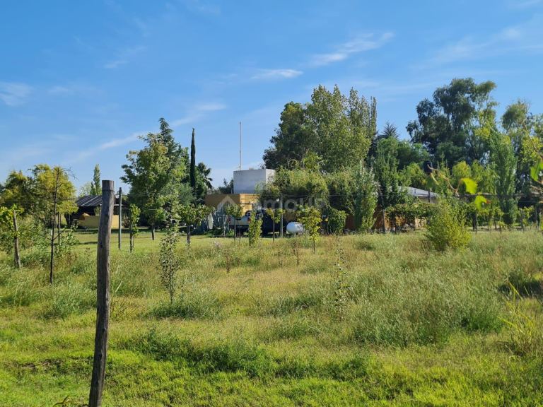 Casa en Venta en Rivadavia, Mendoza