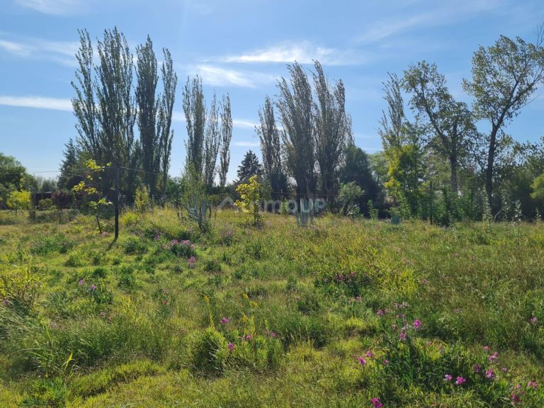 Casa en Venta en Rivadavia, Mendoza
