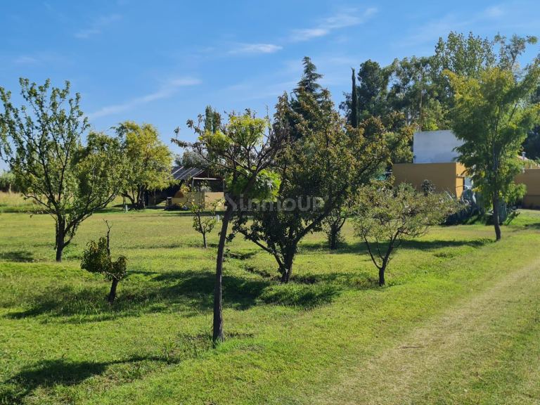 Casa en Venta en Rivadavia, Mendoza