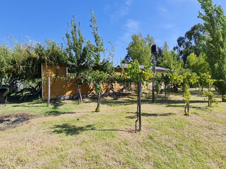 Casa en Venta en Rivadavia, Mendoza