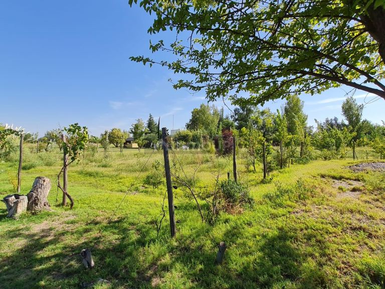 Casa en Venta en Rivadavia, Mendoza