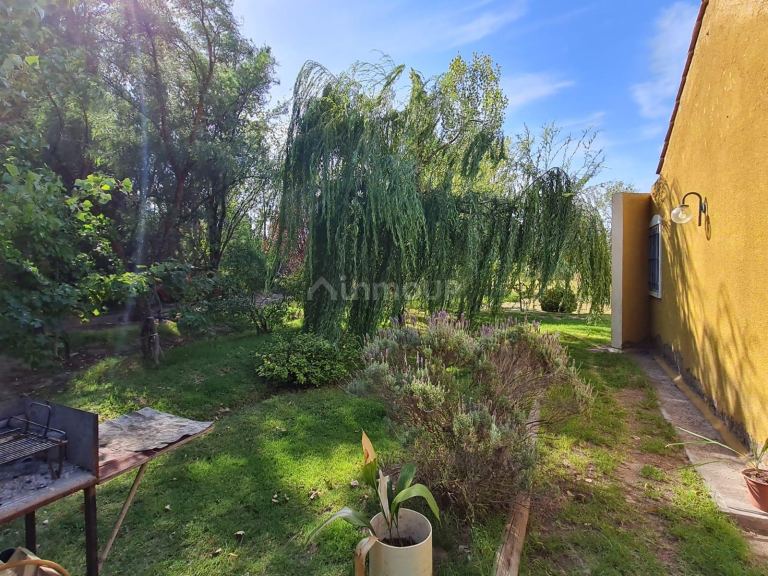 Casa en Venta en Rivadavia, Mendoza