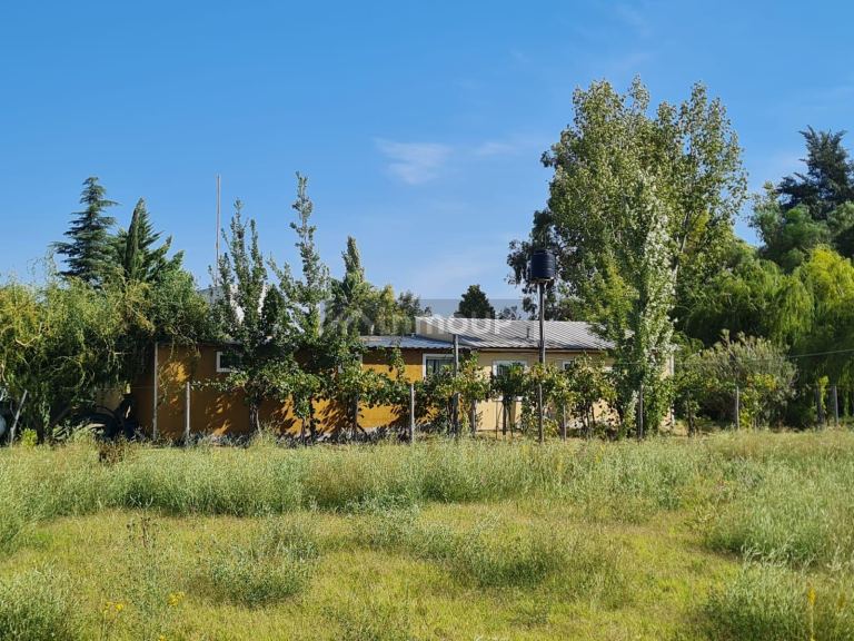 Casa en Venta en Rivadavia, Mendoza