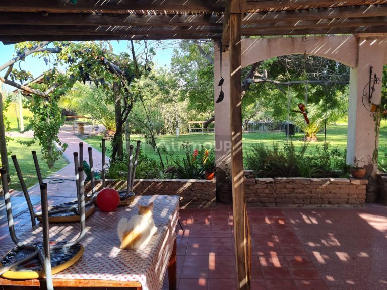 Casa en Venta en Rivadavia, Mendoza