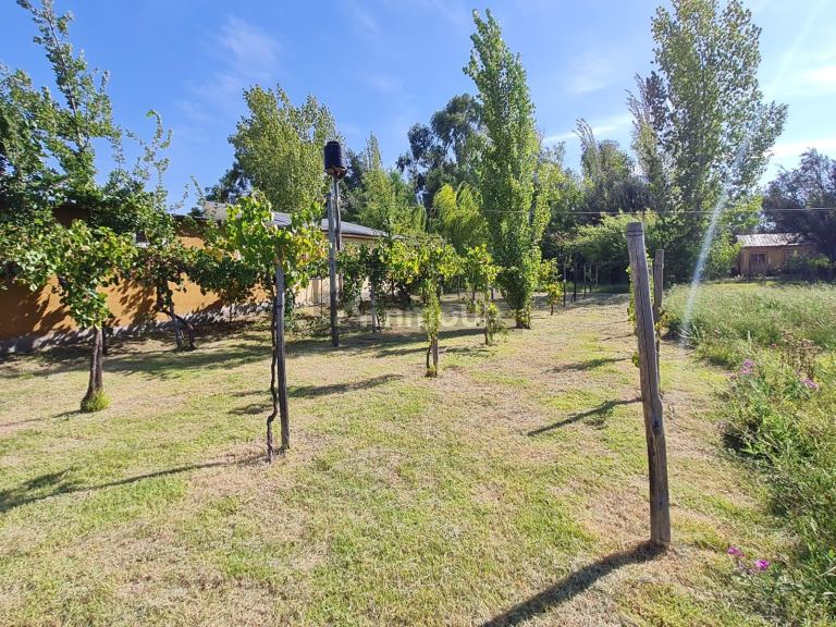 Casa en Venta en Rivadavia, Mendoza