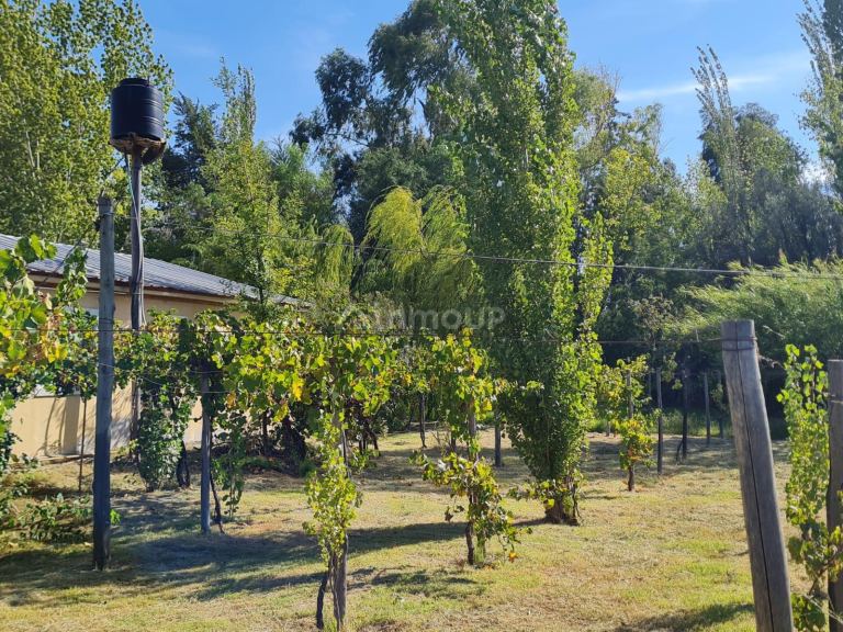 Casa en Venta en Rivadavia, Mendoza