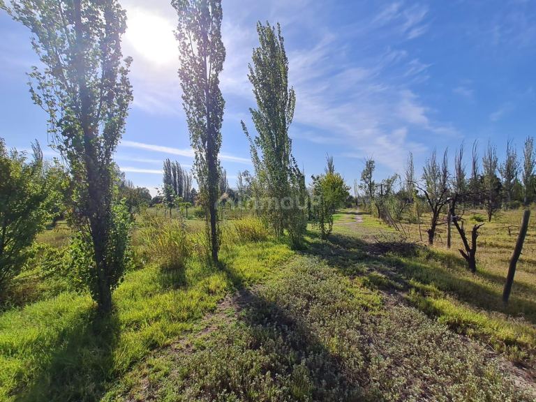 Casa en Venta en Rivadavia, Mendoza