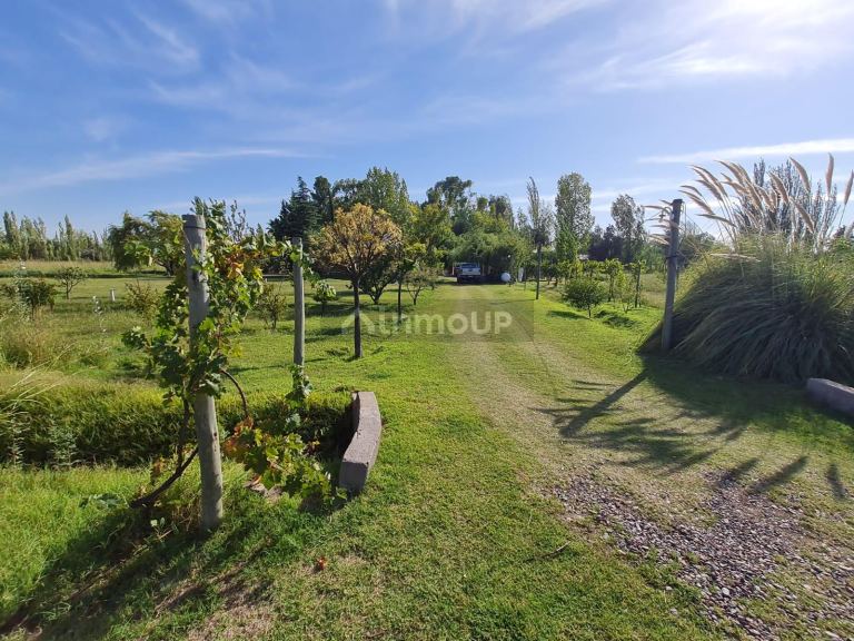 Casa en Venta en Rivadavia, Mendoza
